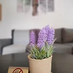 Apartamento Earthy *