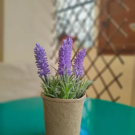 Apartament Earthy