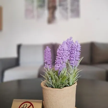 Apartamento Earthy *
