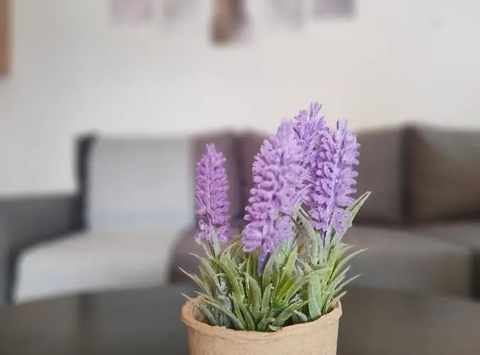 Appartamento Earthy *